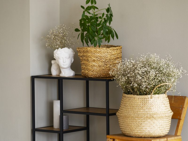 plantas-en-maceta-como-decoracion-de-habitacion-con-estante-y-silla